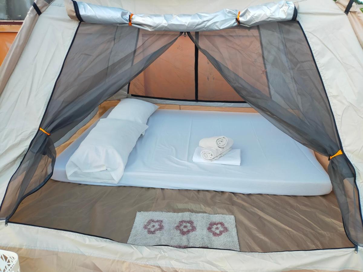 Touristlink Homestay Donsol Oda fotoğraf